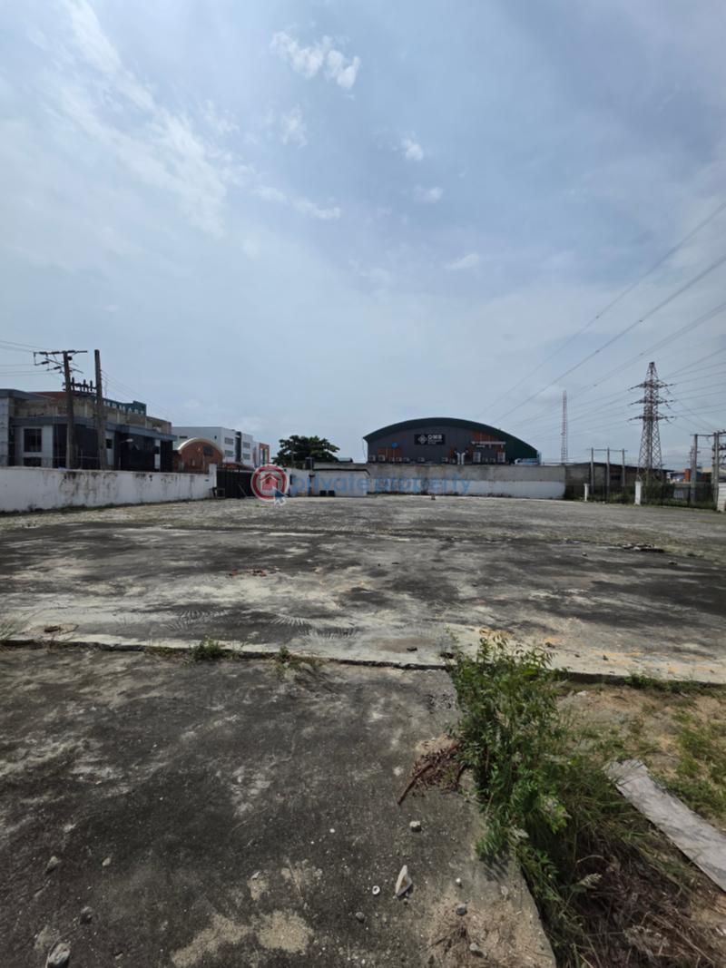 2400sqm commercial plot facing lekki-epe express way - 1 Commercial Land For Sale Lekki Epe Express Way Lekki Phase 1 Lagos - 1