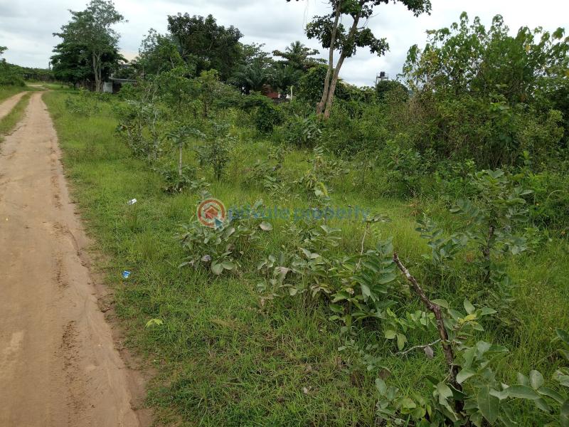 Land For Sale Lagos Abeokuta Expressway, Ile Ise Awo. Adigbe Abeokuta Ogun - 4