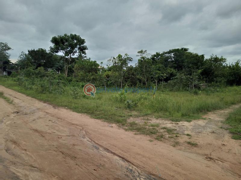 Land For Sale Lagos Abeokuta Expressway, Ile Ise Awo. Adigbe Abeokuta Ogun - 6