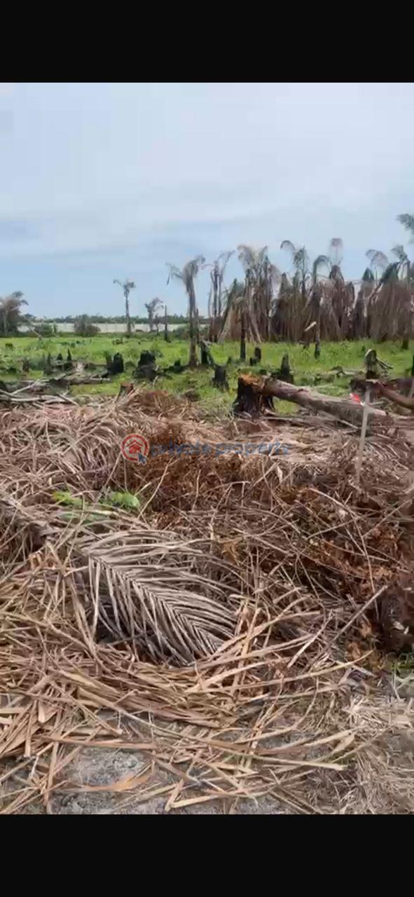 Mixed use Land For Sale 250 Plot Of Behind The Chaterred Housr, Facing The Coastal Road Okun Ajah Okun Ajah Lagos - 0