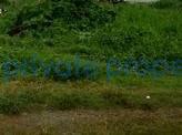 Land For Sale Banana Island, Ikoyi Lagos