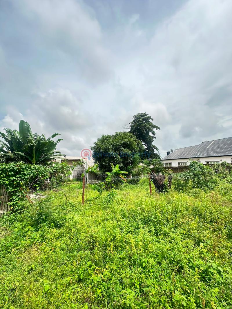 Land For Sale In Oba Adeshida Road, Iyaganku Gra, Ibadan. Ibadan Oyo - 3