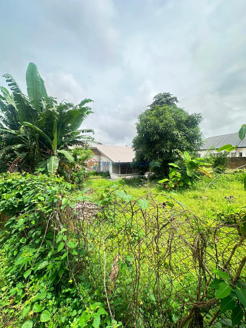 Land For Sale In Oba Adeshida Road, Iyaganku Gra, Ibadan. Ibadan Oyo - 5