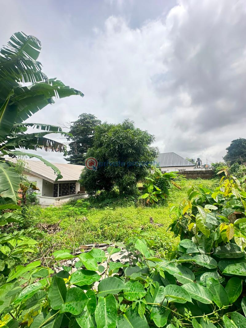 Land For Sale In Oba Adeshida Road, Iyaganku Gra, Ibadan. Ibadan Oyo - 4