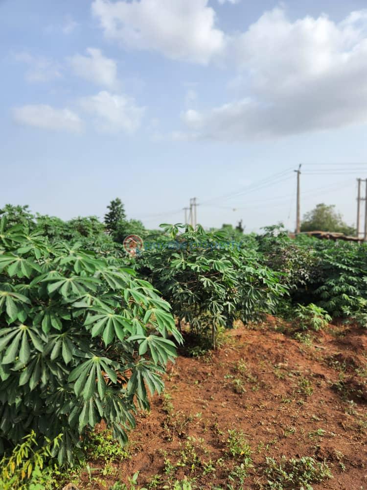 Industrial Land For Sale Baraa Village Beside Nigerian Breweries Sagamu Ogun - 4