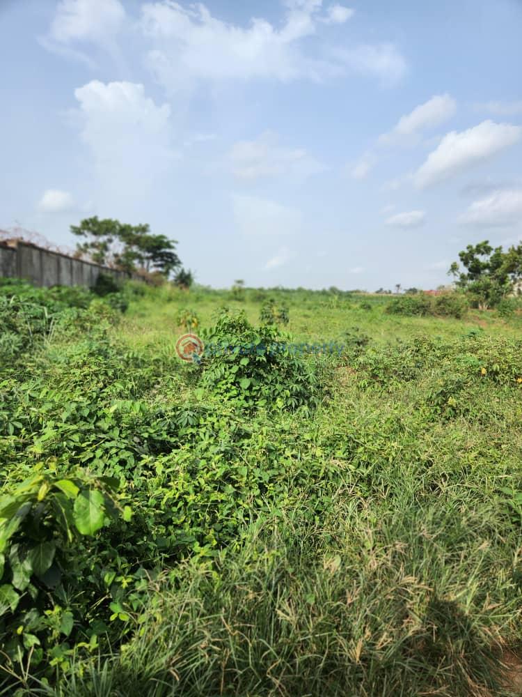 Industrial Land For Sale Baraa Village Beside Nigerian Breweries Sagamu Ogun - 0