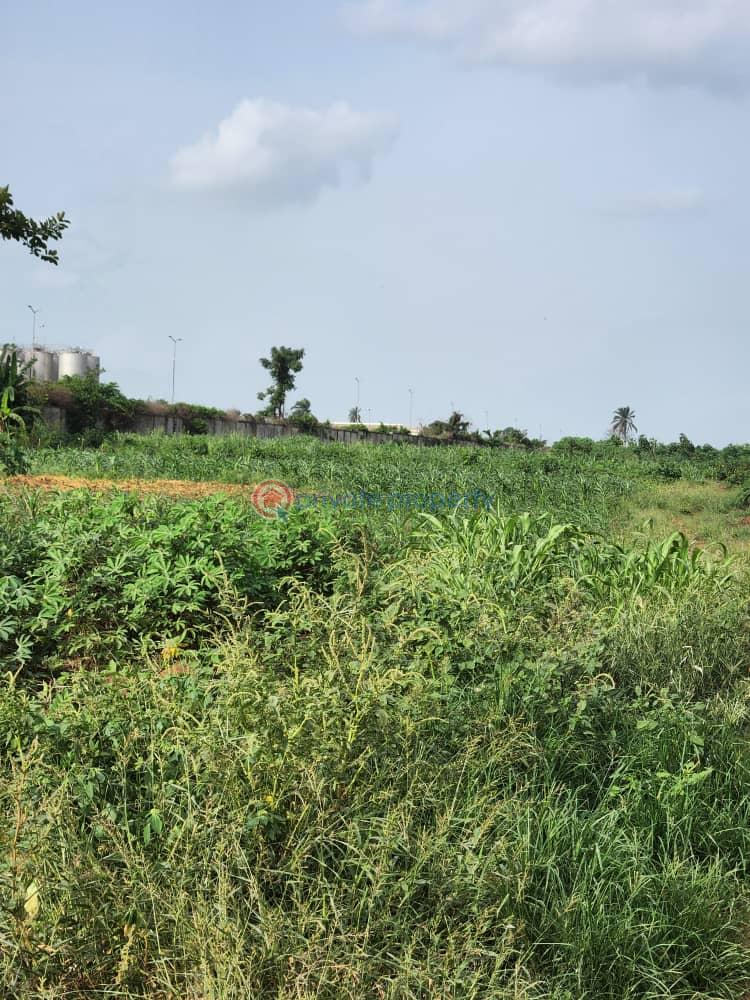 Industrial Land For Sale Baraa Village Beside Nigerian Breweries Sagamu Ogun - 9