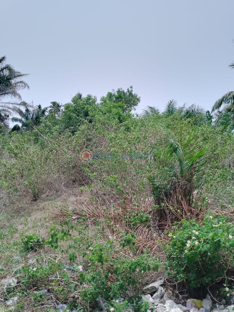 Mixed use Land For Sale Close To Dangote Refinery Free Trade Zone Ibeju-Lekki Lagos - 1