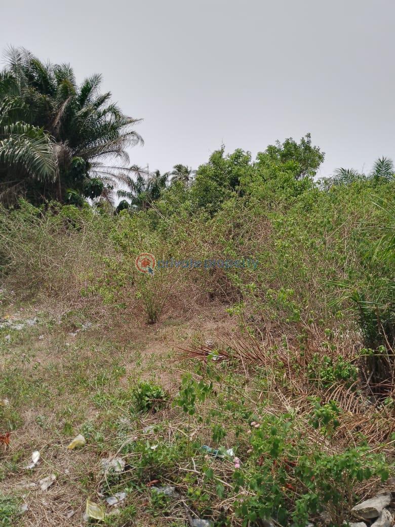 Mixed use Land For Sale Close To Dangote Refinery Free Trade Zone Ibeju-Lekki Lagos - 2