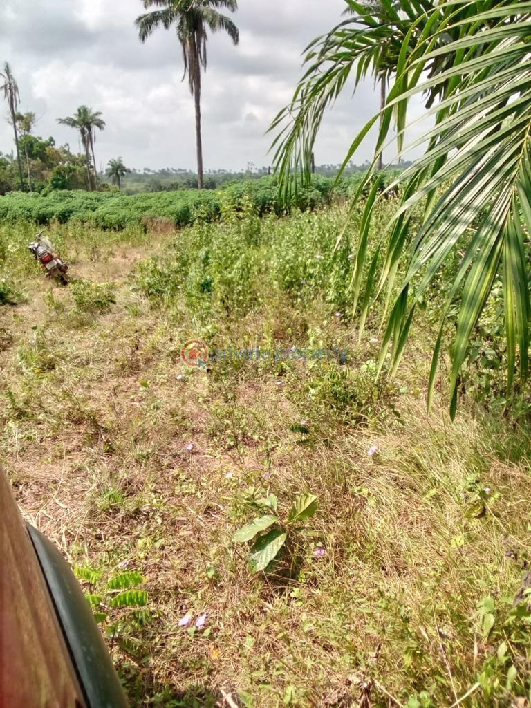 For sale Land Lagos Ibadan Expressway Beside Christopher University