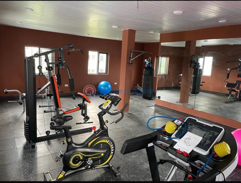 4 bedroom Terraced Duplex For Sale Monastery Road By Shoprite Lekki Sangotedo Ajah Lagos - 20