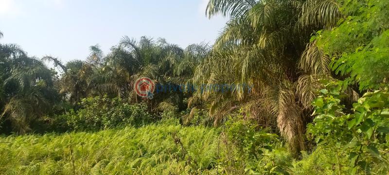 Land For Sale Kajola Magboro Town Off Lagos Ibadan Expressway Magboro Lagos Extension Ogun - 6