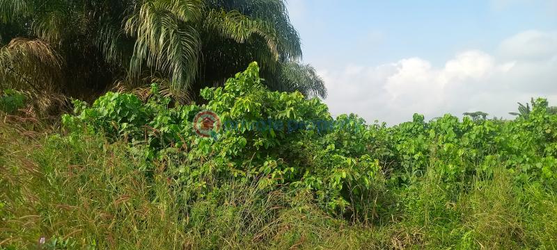 Land For Sale Kajola Magboro Town Off Lagos Ibadan Expressway Magboro Lagos Extension Ogun - 4