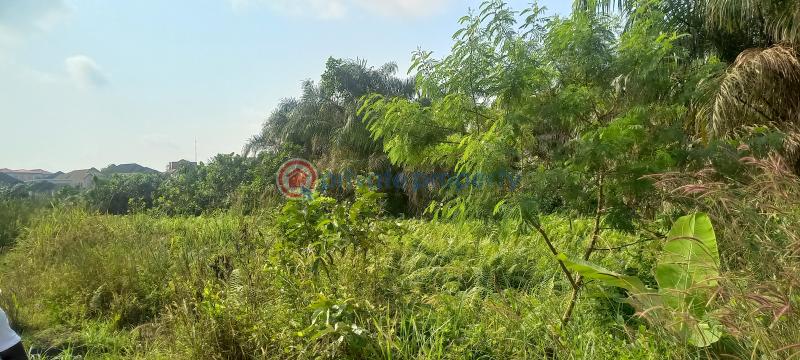 Land For Sale Kajola Magboro Town Off Lagos Ibadan Expressway Magboro Lagos Extension Ogun - 1