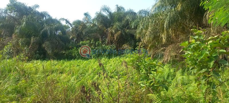 Land For Sale Kajola Magboro Town Off Lagos Ibadan Expressway Magboro Lagos Extension Ogun - 16