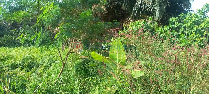 Land For Sale Kajola Magboro Town Off Lagos Ibadan Expressway Magboro Lagos Extension Ogun - 15