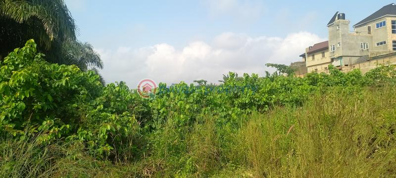Land For Sale Kajola Magboro Town Off Lagos Ibadan Expressway Magboro Lagos Extension Ogun - 3