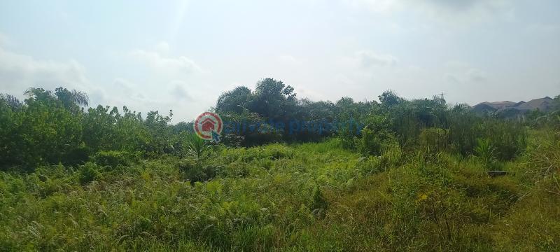 Land For Sale Kajola Magboro Town Off Lagos Ibadan Expressway Magboro Lagos Extension Ogun - 14