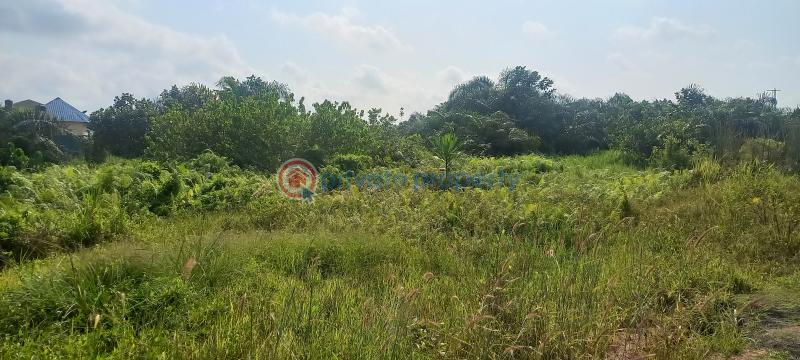 Land For Sale Kajola Magboro Town Off Lagos Ibadan Expressway Magboro Lagos Extension Ogun - 17