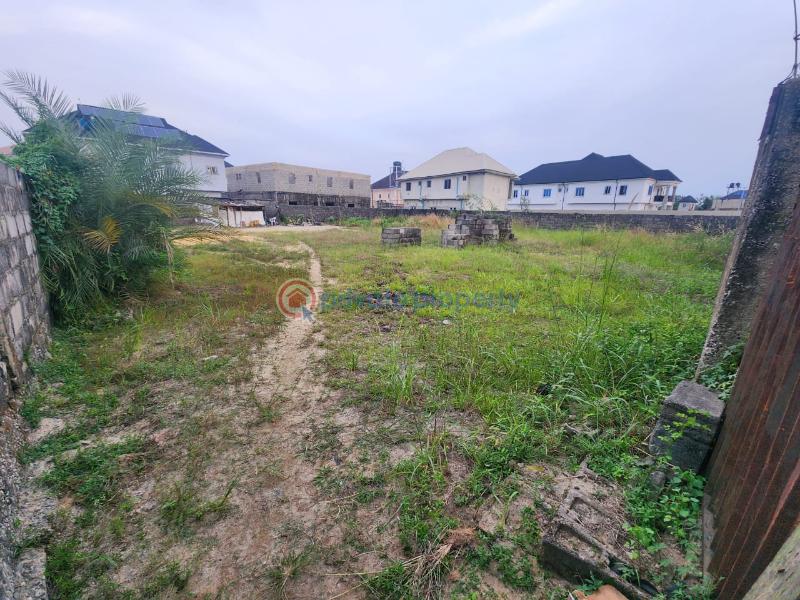 Residential Land For Sale Oke Iranla Ado Road Ajah Lagos - 0