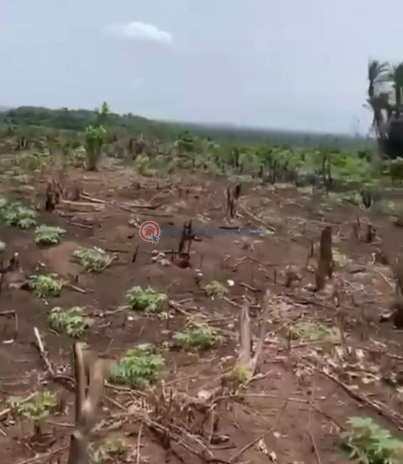3 acre (18) of dry land forsale at okemeri-omu ogun state  after epe - 1 Land For Sale Okemeri Omu Ogun State After Epe Ogun Ogun area  - 1