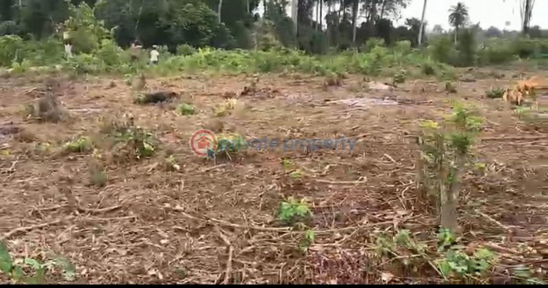 Mixed use Land For Sale Behind Niger Biscuits Ltd,konigbagbe Bustop Ikorodu Sagamu Road Ikorodu Lagos - 8