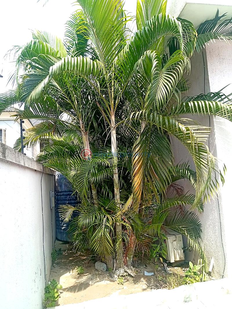 3 bedroom Flat & Apartment For Sale Lekki Phase 1 Lagos - 4