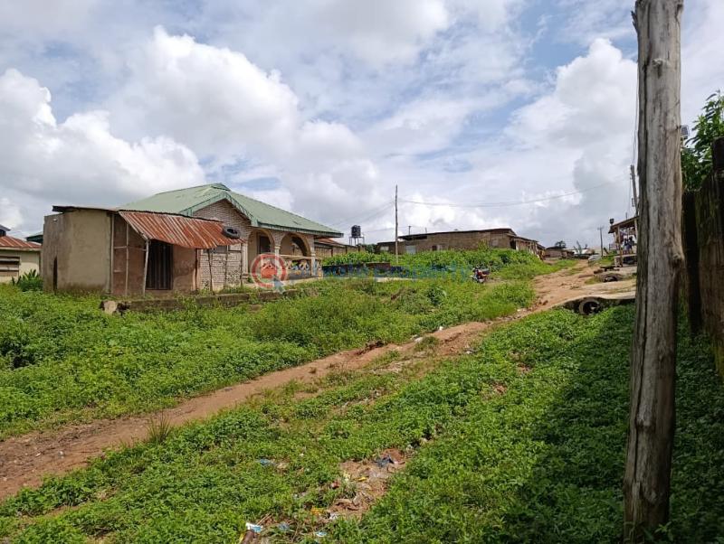 3 bedroom Detached Bungalow For Sale Kole Area, Off Arulogun/ojoo Road , Ojoo, Ibadan Ojoo Ibadan Oyo - 10