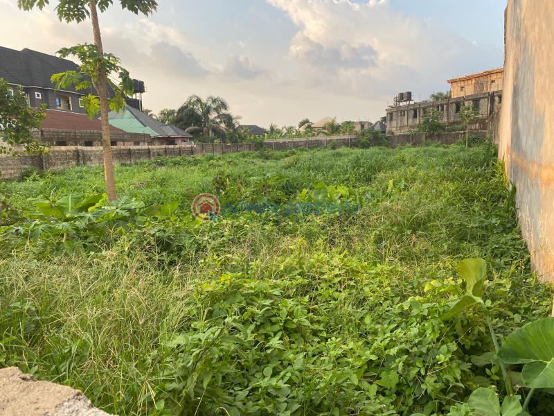 Residential Land For Sale Umuodu Mbieri By Spibat Rd, Owerri, Imo State. Owerri Imo - 2