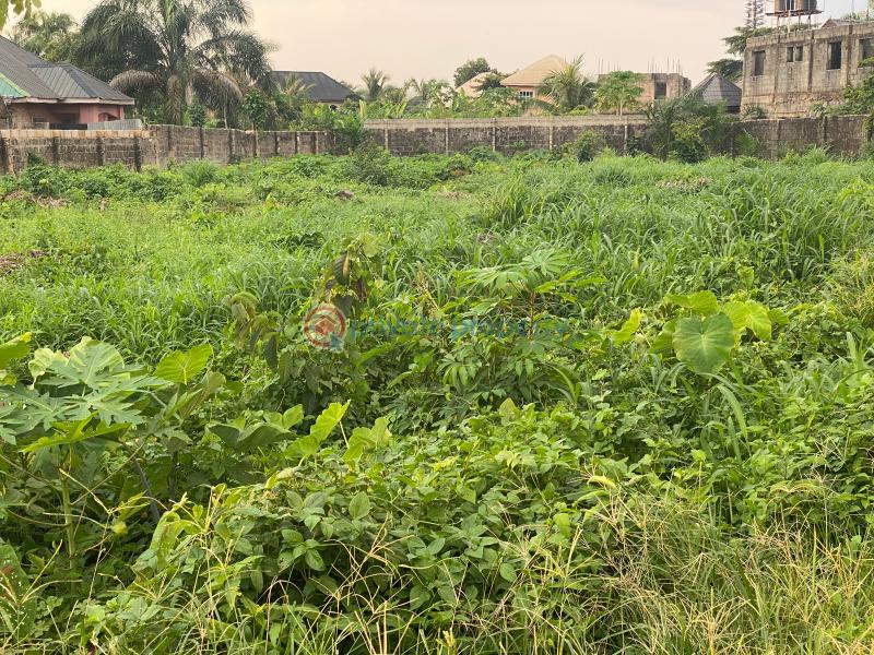 Residential Land For Sale Umuodu Mbieri By Spibat Rd, Owerri, Imo State. Owerri Imo - 1