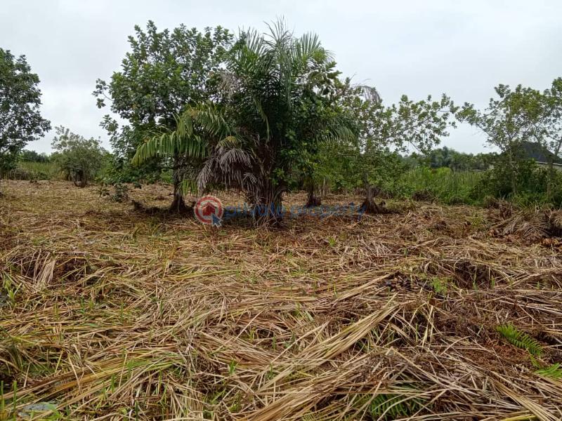 Residential Land For Sale Kajola Scheme 2 Lakowe Ajah Lagos - 3