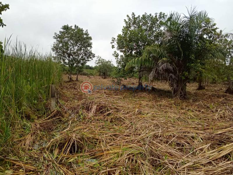 Residential Land For Sale Kajola Scheme 2 Lakowe Ajah Lagos - 4