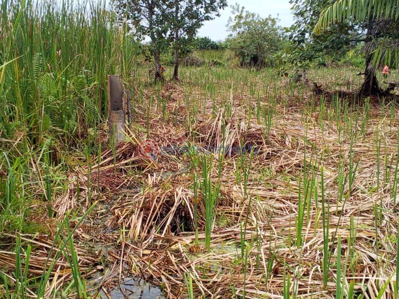 Residential Land For Sale Kajola Scheme 2 Lakowe Ajah Lagos - 0