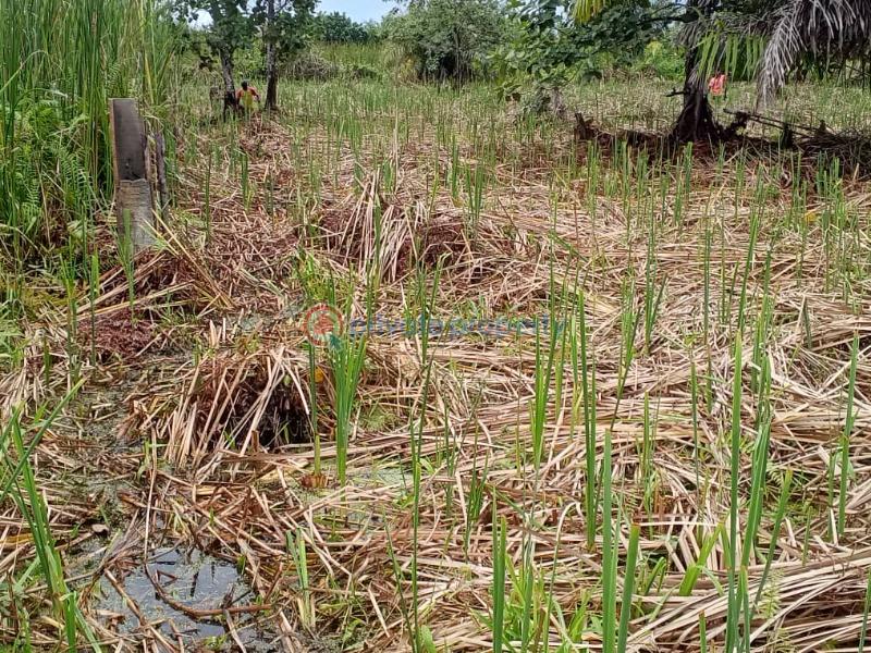 Residential Land For Sale Kajola Scheme 2 Lakowe Ajah Lagos - 2