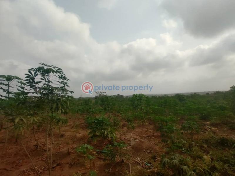 Commercial Land For Sale Ido Eruwa Road Ido Ibadan Oyo - 3