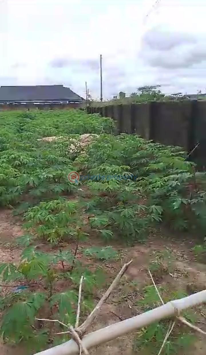 For sale Land At Iyanomon Community Sapele Road .benin City .edo State
