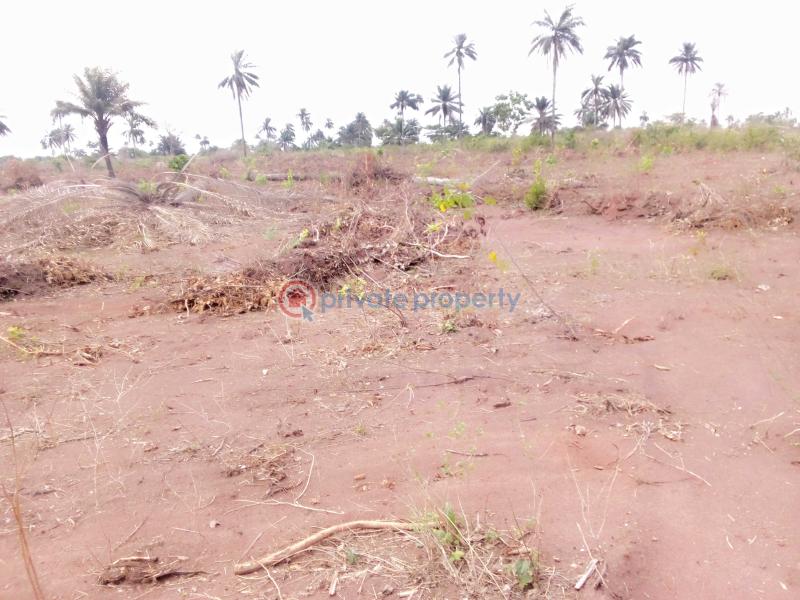 Residential Land For Sale Richpalm Estate Phase 1 Strategically Located Behind Novare Mall Monastery Road Sangotedo Lagos