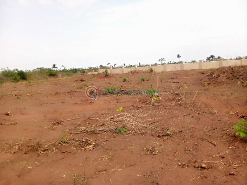 Mixed use Land For Sale Affordable 300sqm Land With Instant Allocation Ilara Epe Lagos