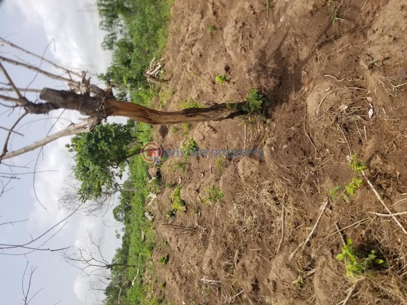 Residential Land For Sale @ The Front Of University Of Agriculture Funab. Abeokuta Ogun - 2