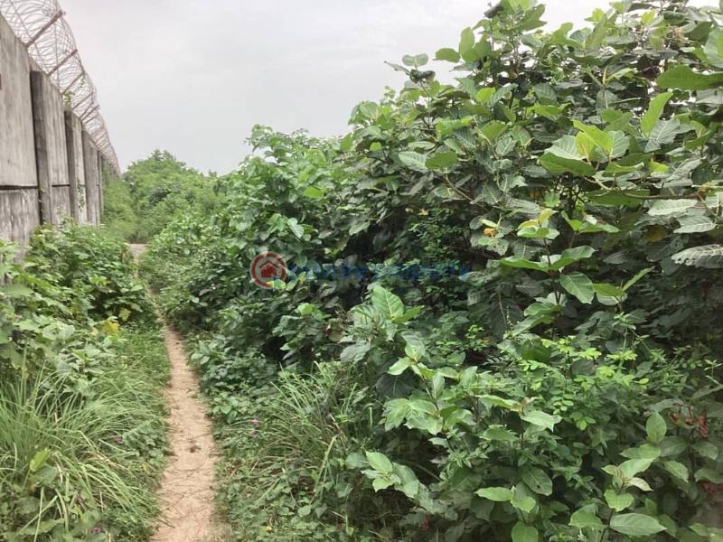 Mixed use Land For Sale Free Trade Zone Ibeju Lekki Free Trade Zone Ibeju-Lekki Lagos