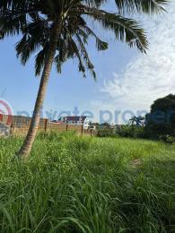 Residential Land For Sale Osainaye Crescent, Agodi Gra, Ibadan Agodi Ibadan Oyo - 4