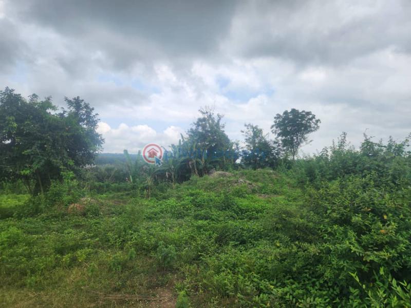 Industrial Land For Sale Lagos/ibadan Expressway Ibadan Oyo - 6