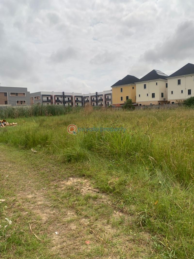 Mixed use Land For Rent Ikate Lekki Phase 1 Lagos - 0