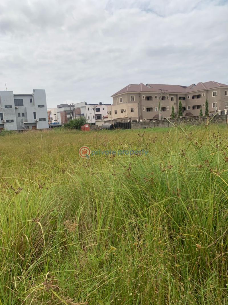 3,500  sqm land for lease in ikate lekki phase one - 2 Mixed use Land For Rent Ikate Lekki Phase 1 Lagos - 2