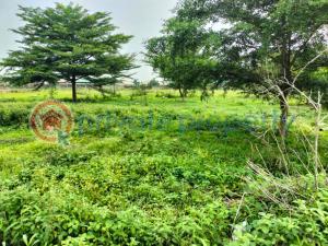 Mixed use Land For Sale Opic Estate Berger Apapa Lagos - 3