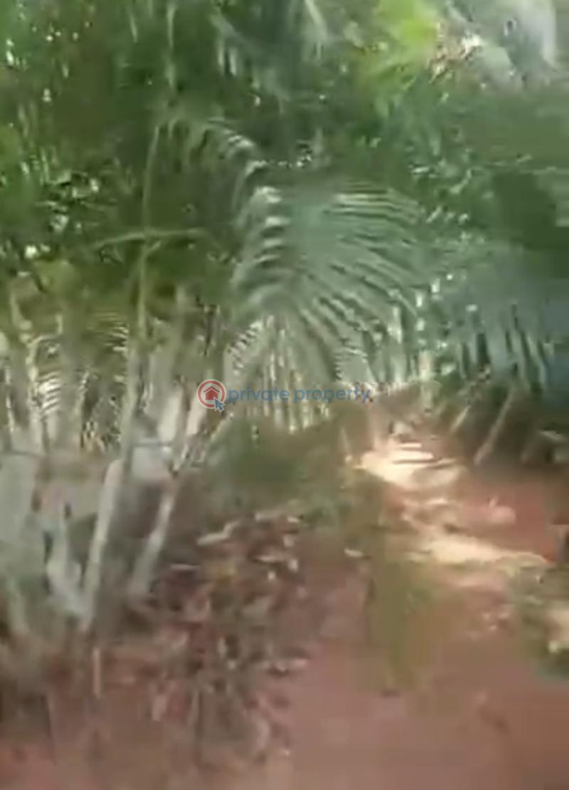 Land For Sale Off Bourdillon Road, Ikoyi Bourdillon Ikoyi Lagos - 2