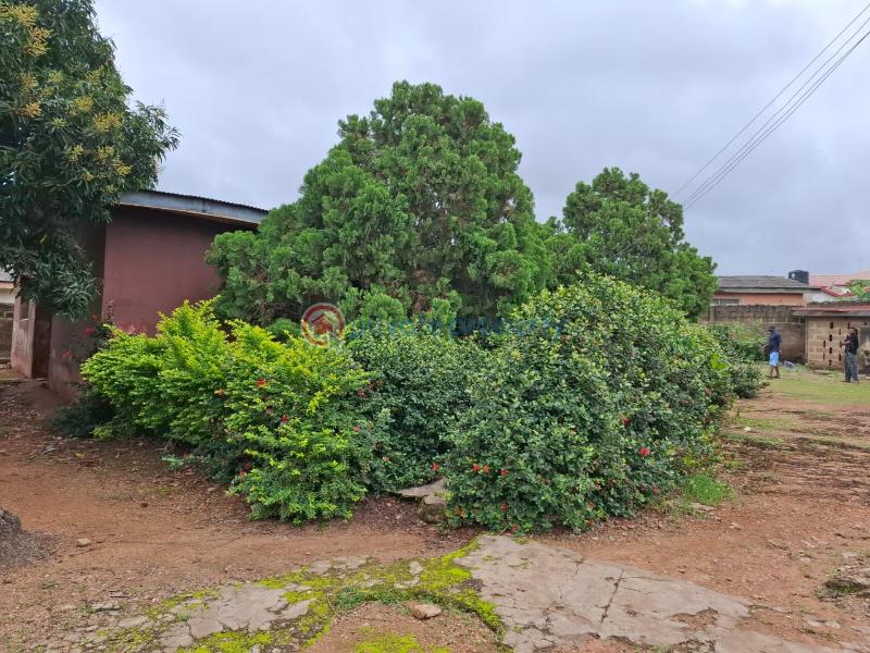 House For Sale Bashorun Housing Estate, Akobo, Ibadan Akobo Ibadan Oyo - 3