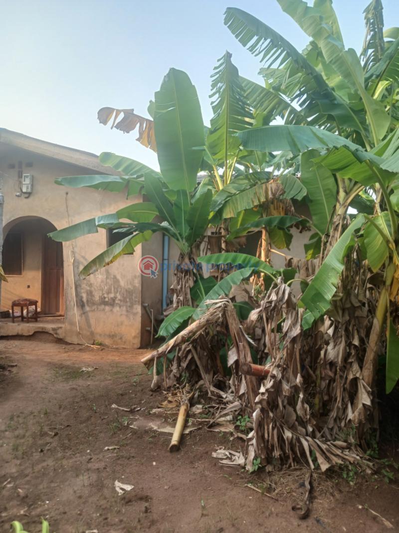 4 bedroom Detached Bungalow For Sale Ayobo Ipaja Lagos - 0