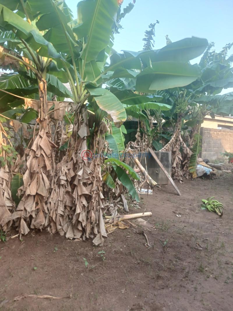 4 bedroom Detached Bungalow For Sale Ayobo Ipaja Lagos - 3
