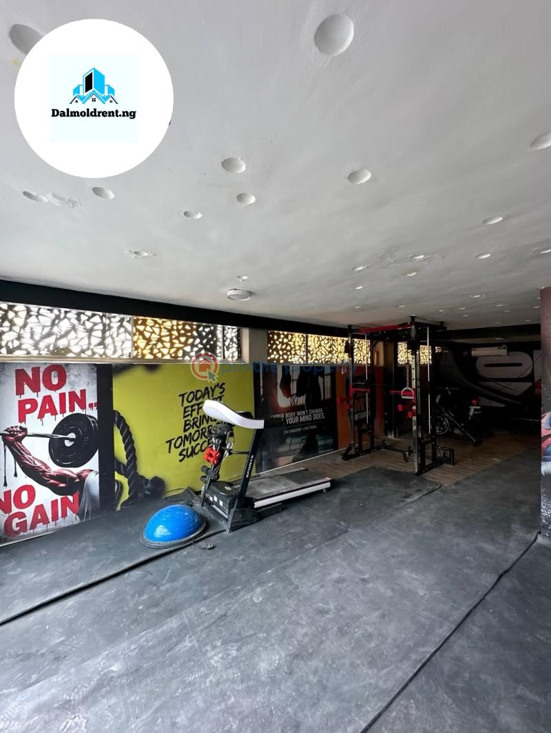 4 bedroom Detached Duplex For Rent Parkview Estate Ikoyi Lagos - 13